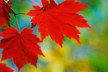 Similar image 713331