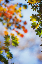 Similar image 713333