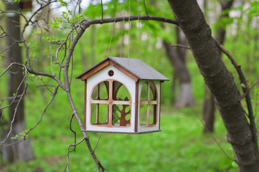 Similar image 713335