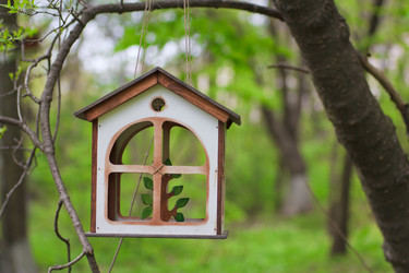 Similar image 713336