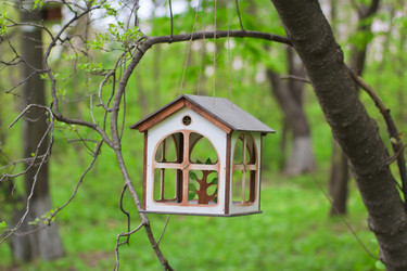 Similar image 713337