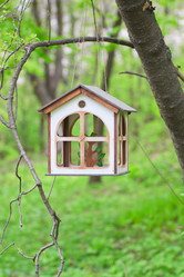 Similar image 713339