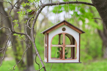 Similar image 713340