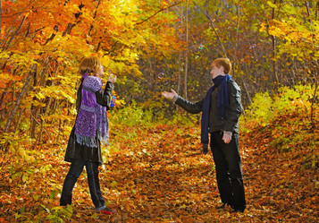 Similar image 713354