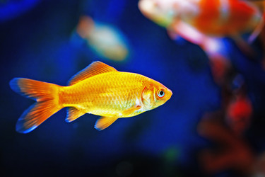 Similar image 713411