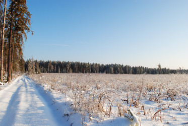 Similar image 713470