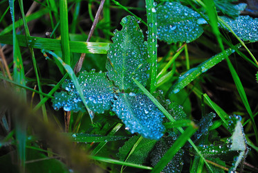 Similar image 713471