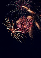 Similar image 713517