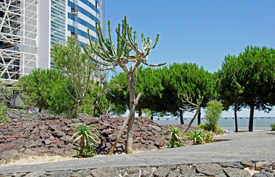 Similar image 713539