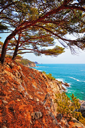 Similar image 713720