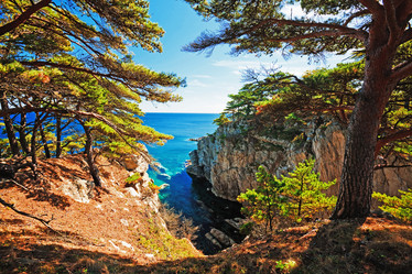 Similar image 713722