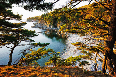 Similar image 713723