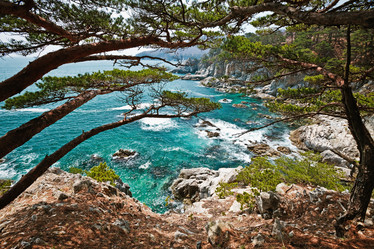 Similar image 713724