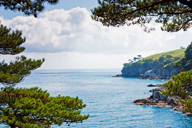 Similar image 713726