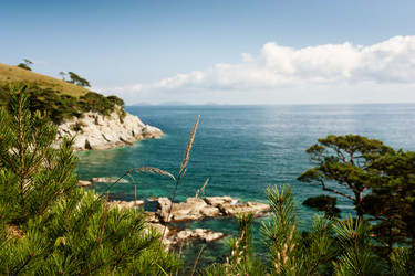 Similar image 713727