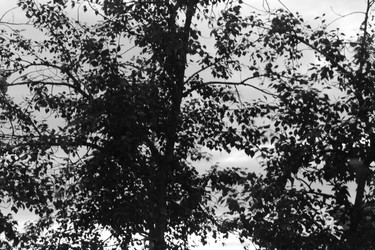 Similar image 713754