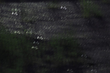 Similar image 713761