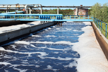 Similar image 713996