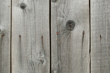 Similar image 714130