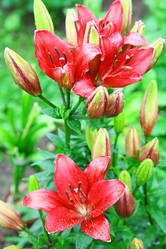 Similar image 714138