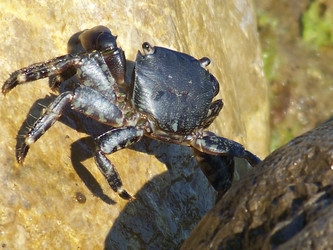 Similar image 714240