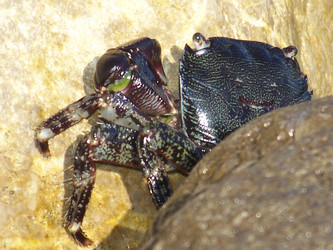 Similar image 714242