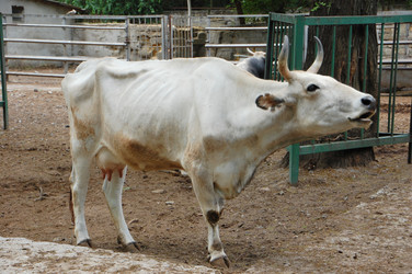 Similar image 714243