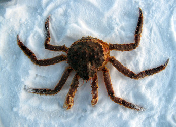 Similar image 714265