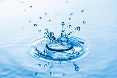 Similar image 714327