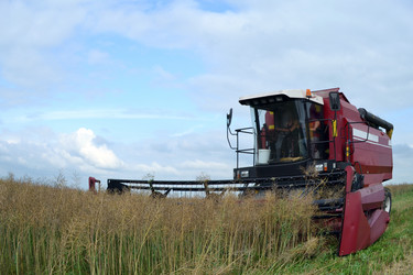 Similar image 714360