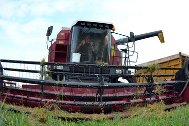 Similar image 714361