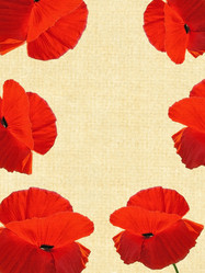 Similar image 714421