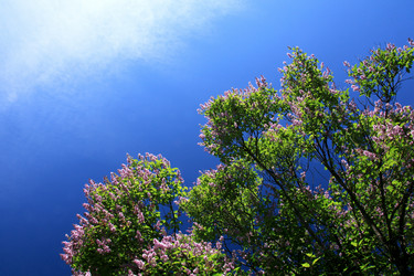 Similar image 714463