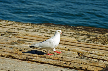 Similar image 714475