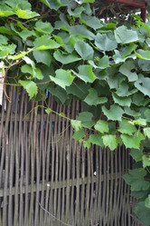 Similar image 714532