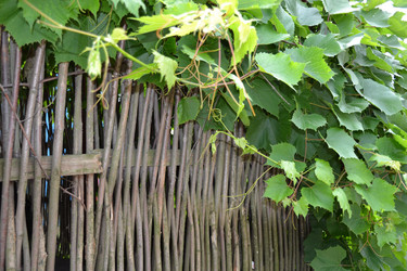 Similar image 714534