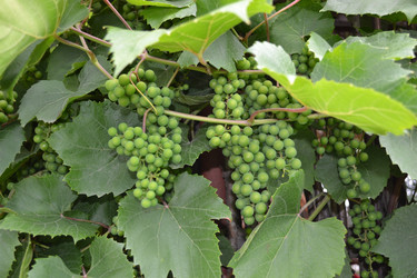 Similar image 714536