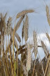 Similar image 714543