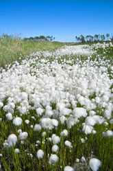 Similar image 714665