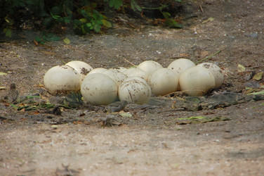 Similar image 714668