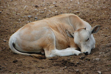 Similar image 714669