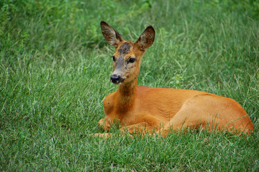 Similar image 714670