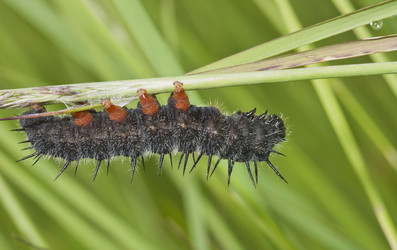 Similar image 714706