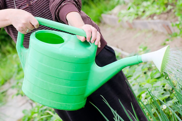 Similar image 714725