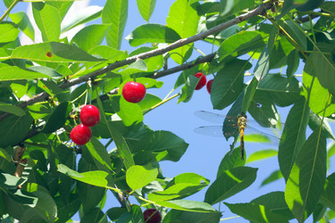 Similar image 714745