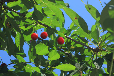 Similar image 714748