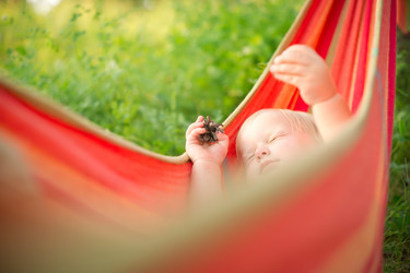 Similar image 714778