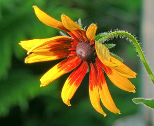 Similar image 714861