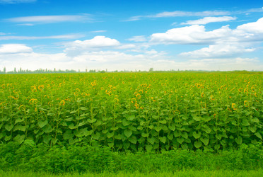 Similar image 714868