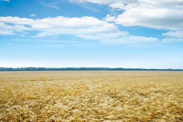 Similar image 714869